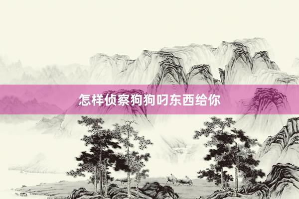 怎样侦察狗狗叼东西给你