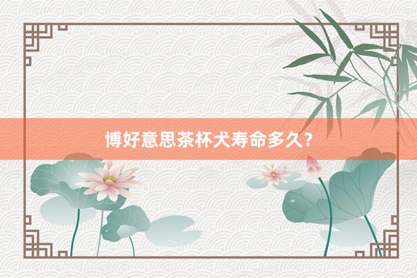 博好意思茶杯犬寿命多久?