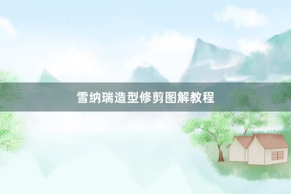 雪纳瑞造型修剪图解教程