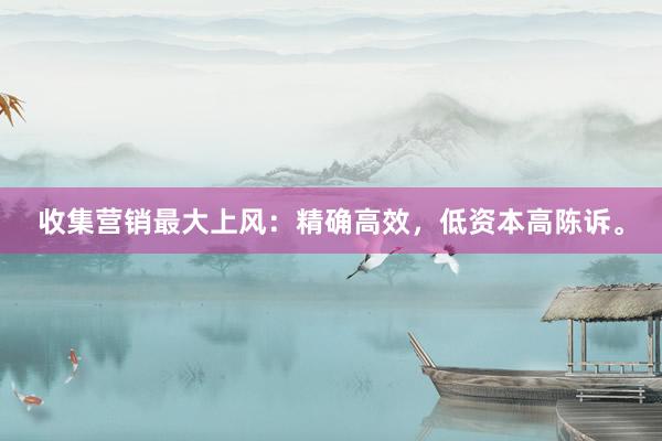 收集营销最大上风：精确高效，低资本高陈诉。